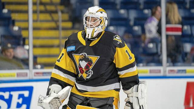 Erbie Brooks Intro and NHL Thoughts